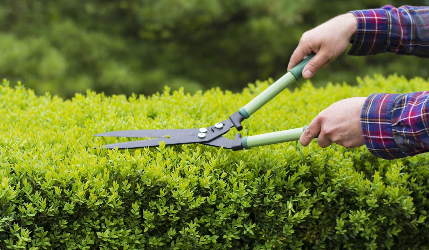 Gebäudereinigung, Unterhaltsreinigung, Glasreinigung, Büroreinigung, professionelle Reinigung, Reinigungsunternehmen, Hausmeisterservice, Winterdienst, Gartenpflege, Polsterreinigung, Umzugsservice,  Stuttgart 